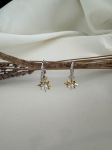 Two Tone Star Earrings