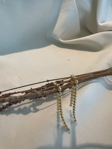 Long Beaded Earrings